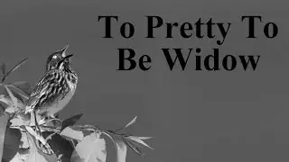 Oh No, It's Birds - Too Pretty to be Widow