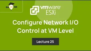 Teaser of Lecture 25. How To Configure vSphere Network I/O Control at VM vNIC level: ESXi Networking
