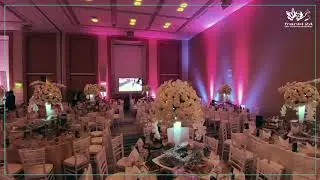 Frankl24 & Hochzeit Hilton Vienna
