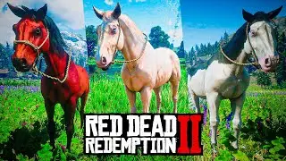 TOP 10 CAVALOS MAIS BONITOS - RED DEAD REDEMPTION 2