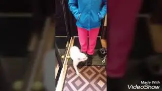 День клоуна. 2 часть