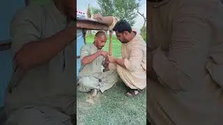 Hera Pheri part 2 #funny #greedy    #money  #familygames  #entertainment #fraud #comedyshorts