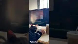 Come edit my next video with me and my cat 🐈‍⬛