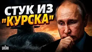 Putin was silent for 25 years! Those guilty of the Kursk disaster - the truth that Moscow is hiding