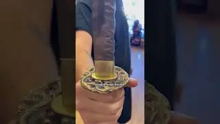 can a hammer spine katana be sheathed normally?