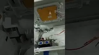 Rato na lavadora Eletrolux.
