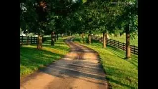 My Lonely Road