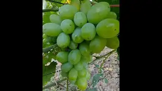 Взлетная полоса