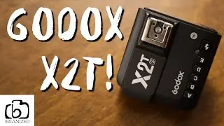 Godox X2t vs XPro vs X1t Trigger, Which Transmitter is Better?