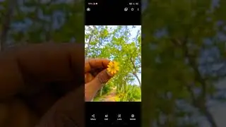 আপনার ক্যামেরাকে করে নিন পিক্সেল ফোনের ক্যামেরার মতো💥 #shorts #gcam #flowers  #photography #viral