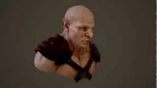 Head Test in Marmoset 2