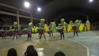 Talisay City Charter 2016