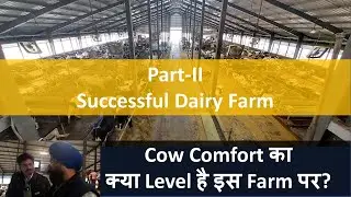 Part II   Cow Comfort in this farm