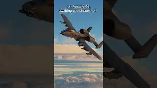 All call signs, check in!  #dcsworld #acecombat #aviacaomilitar #memes #fighterjet #militaryaircraft