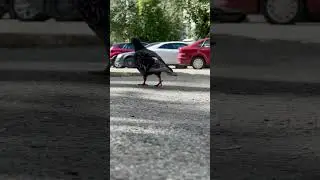 В хорошую погоду можно погулять