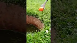 Ich habe etwas Neues ausprobiert und war heute Swingolf in Essen spielen 