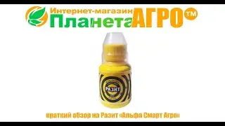 🐛Краткий обзор на Разит 