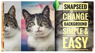 Change Photo Background in Snapseed - So Easy