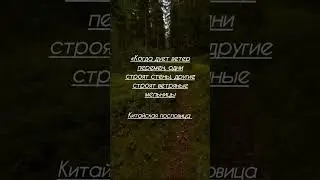 #цитаты#психология#философия#пословицы#книги#выражения#высказывание#музыка#переменывжизни