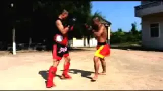 Sifu Yan Lei Kung Fu Chan video.flv