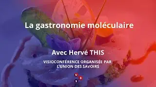 La gastronomie moléculaire - visioconférence grand public