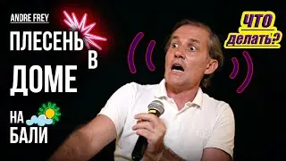 Как убрать ПЛЕСЕНЬ и СЫРОСТЬ в ДОМЕ на Бали