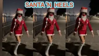 #christmas#christmaseve#santa #labrador#park #santaclaus in #heels #picnic #withfriends