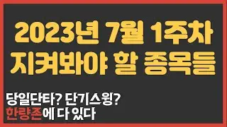 2023년 7월 1주차 한량존 관심종목
