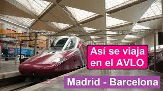 Experiencia de viaje en el AVLO de Renfe