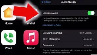 How to Enable Apple Lossless Audio on iPhone 