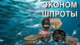 ШПРОТЫ ИЗ ЭКОНОМ МАГАЗИНОВ | ШПРОТЫ ИЗ СВЕТОФОРА , ДОБРОЦЕНА И МАЯКА