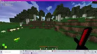 Minecraft Anti Aim