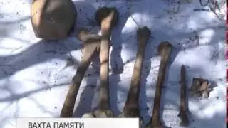 Под Белгородом нашли останки бойца Советской армии