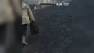 VL.ru – Дальневосточный гектар с теплицами и посадками сгорел в Хасанском районе