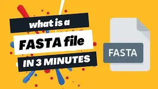 What is a FASTA file?