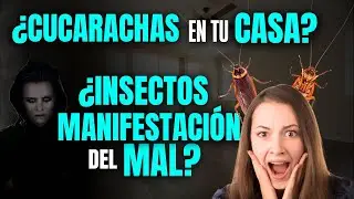 🚨¿CUCARACHAS en tu CASA? ¿INSECTOS MANIFESTACIÓN DEL MAL?