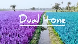 Tutorial edit foto dual tone di apk picsaypro