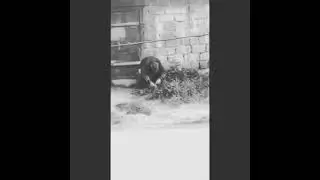 Немного прикола в ленту)))