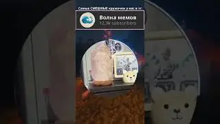Отличная лампа 😂