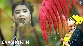 HEESTII SIWEN BAAN KU JECLAHAY CODKII CAASHO KIIN