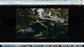 Horizontal Scrolling with Mouse Wheel in Oxygen