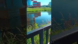 Попытки - селяви