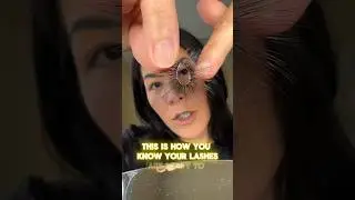 Lashes start here at Linx - #lashlady #beautyhacks #lashhack #linxlashes