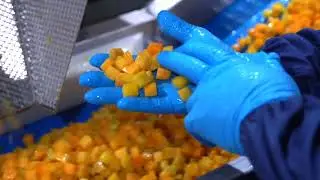FAM Industrial Food Cutting Machines