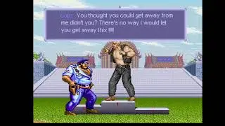 Street Fighter One Mugen Remake Birdie Arcade Ending