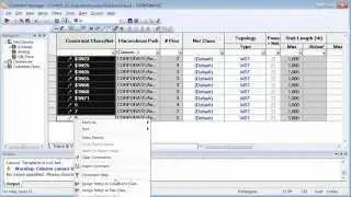 Constraint Management: It's easy with PADS!