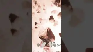 Любимое занятие в 