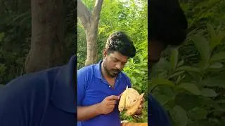 How to make a Bull cow  carving from coconut handicrafts | home decore