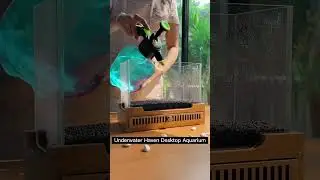 ⭐ Product Link in Comments ⭐Mini Underwater Haven Desktop Aquarium