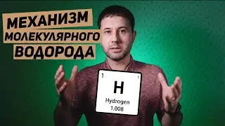 Какие функции в организме выполняет молекулярный водород. 16+
